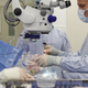 Doctors performing the gene therapy at the John Radcliffe Hospital in Oxford, UK.